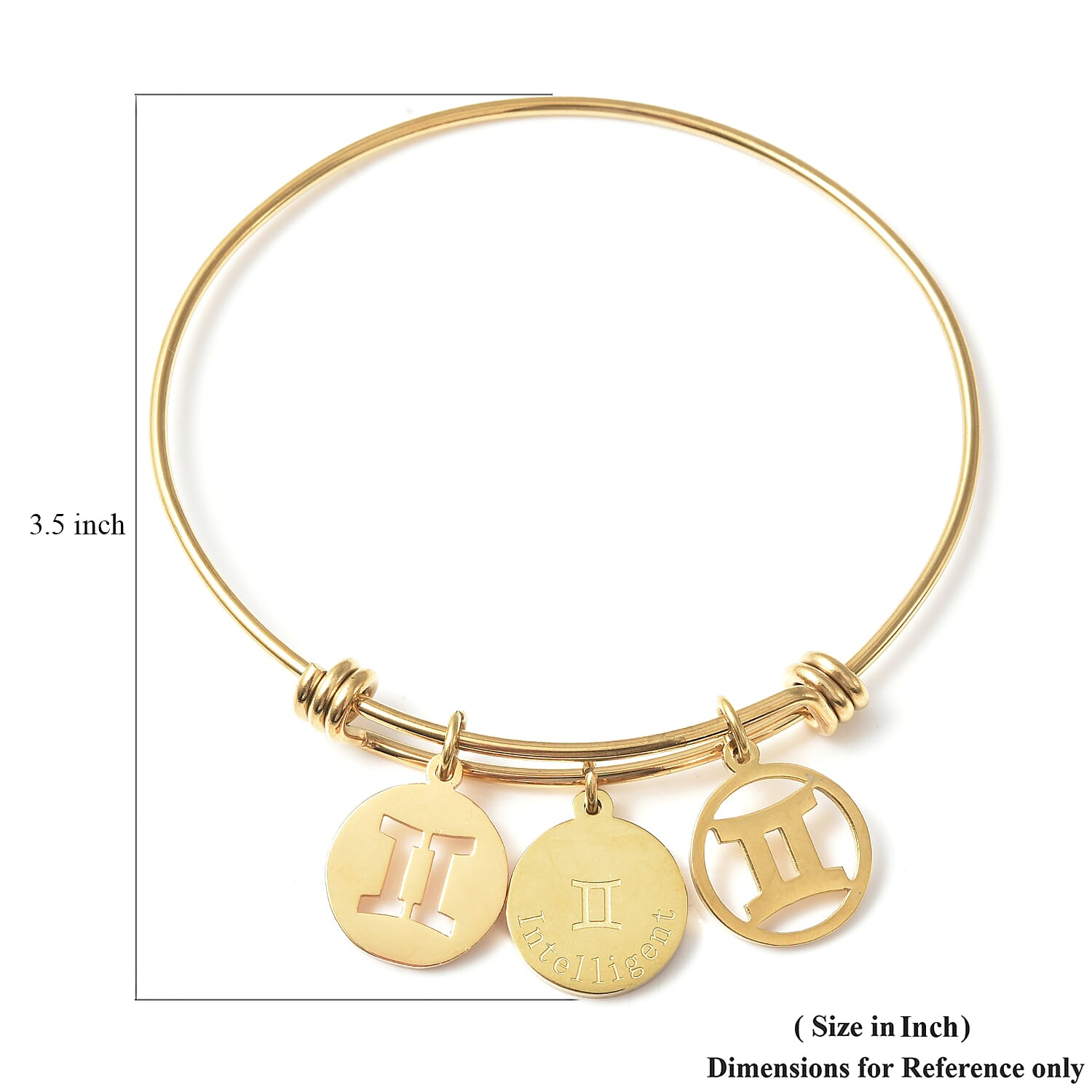 Gemini Zodiac Bangle Bracelet Gift Set in ION Plated Yellow Gold Stainless Steel (6-9 in)