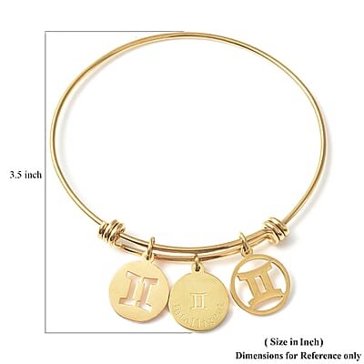 Gemini Zodiac Bangle Bracelet Gift Set in ION Plated Yellow Gold Stainless Steel (6-9 in)