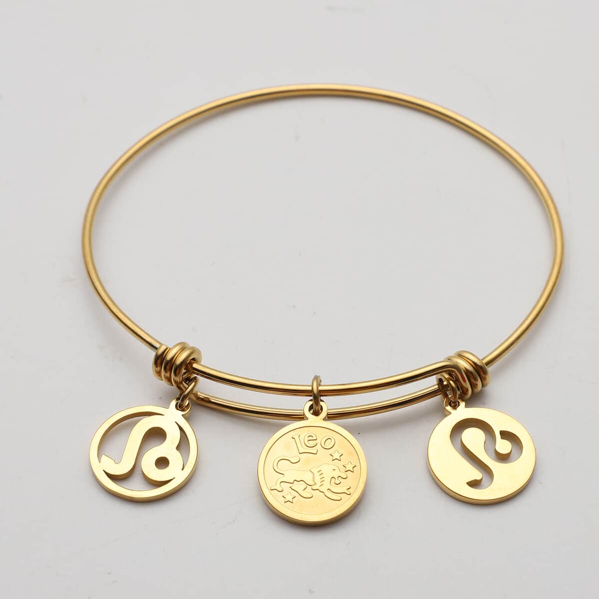 Leo Zodiac Bangle Bracelet in ION Plated Yellow Gold Stainless Steel (6-9 in) image number 1