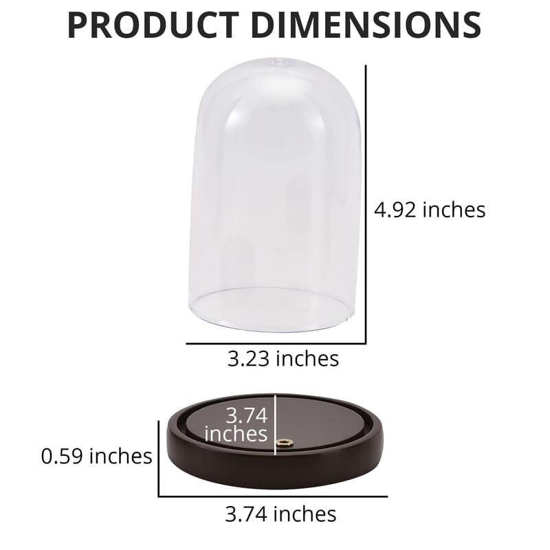 Brown Watch Display Case with Transparent Cover, Bell Jar Display Dome, Tabletop Display Cloche Dome