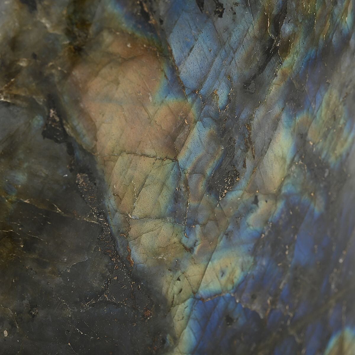 Labradorite Free Form-M Approx. 7711ctw