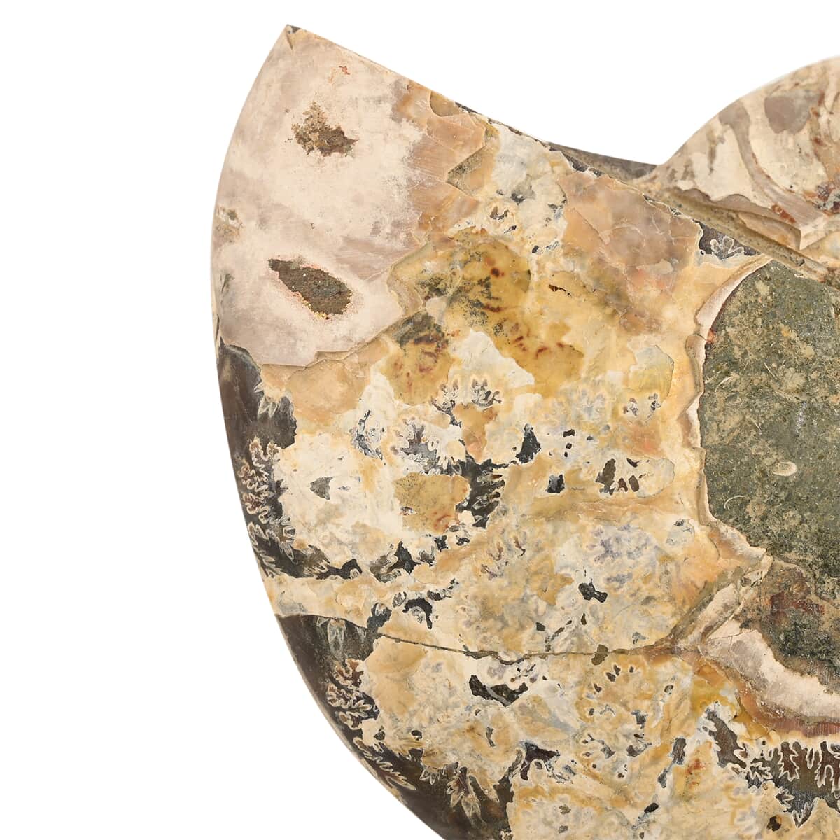 Ammonite Pair 5-6 2721ctw image number 3