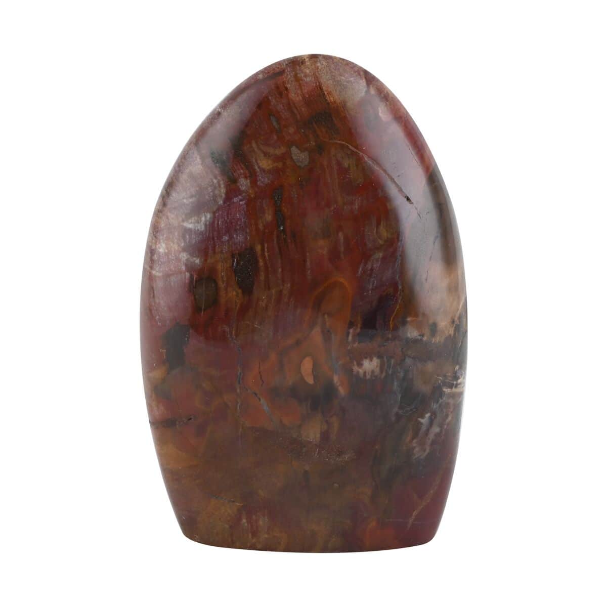 Petrified Wood Figurine -XL Approx. 4350ctw image number 0