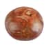 Petrified Wood Palm Stone -M Approx. 625ctw image number 0