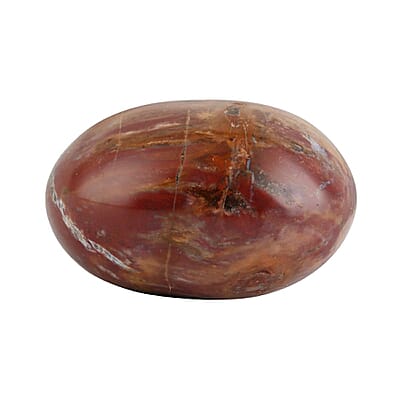 Petrified Wood Palm Stone -M Approx. 625ctw