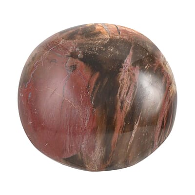 Petrified Wood Palm Stone -M Approx. 625ctw