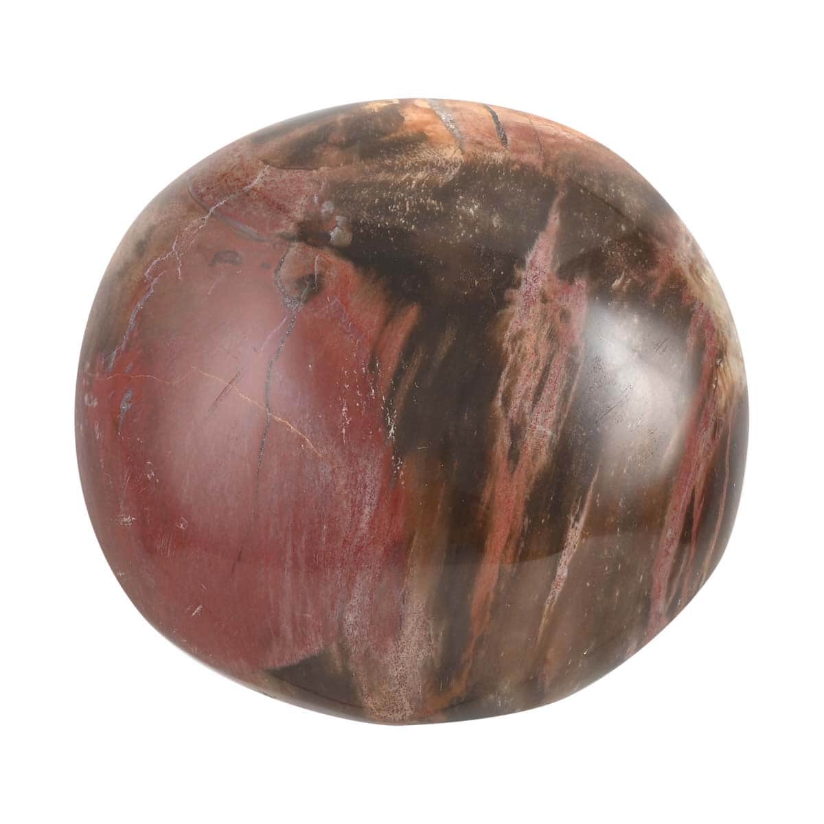 Petrified Wood Palm Stone -M Approx. 625ctw image number 4