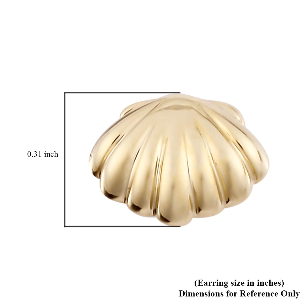 Luxoro 10K Yellow Gold Sea Shell Earrings image number 4