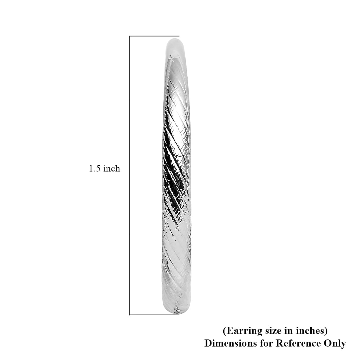 Hoop Earrings in Silvertone