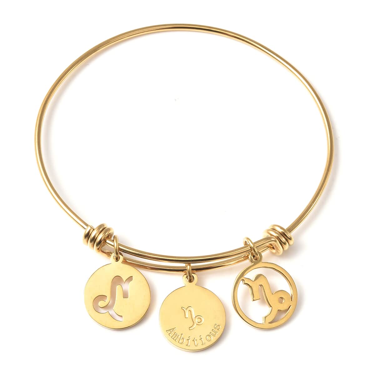 Capricorn Zodiac Bangle Bracelet Gift Set in ION Plated Yellow Gold Stainless Steel (6-9 in) image number 1