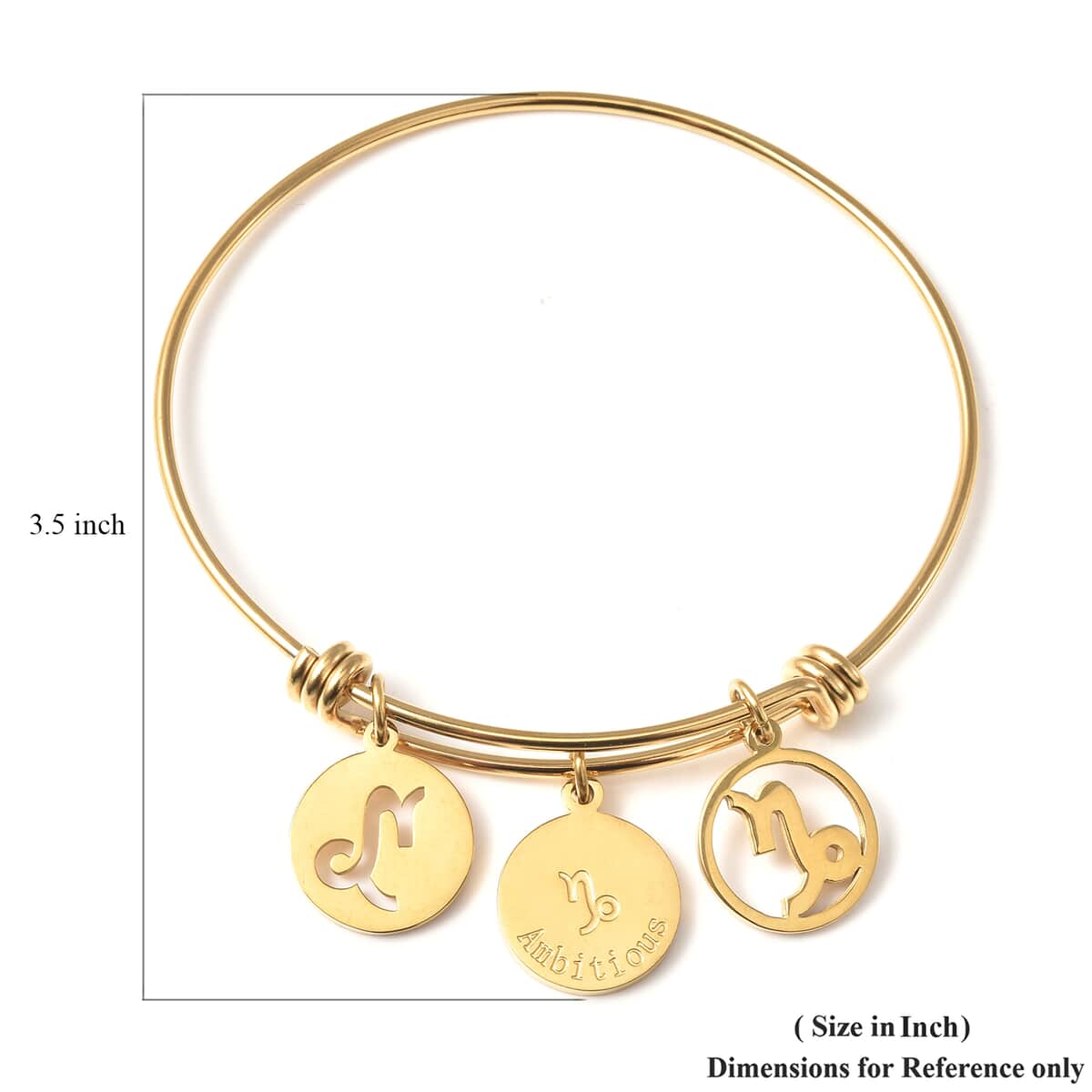 Capricorn Zodiac Bangle Bracelet Gift Set in ION Plated Yellow Gold Stainless Steel (6-9 in) image number 6