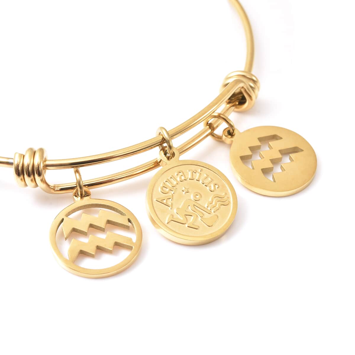 Aquarius Zodiac Bangle Bracelet Gift Set in ION Plated Yellow Gold Stainless Steel (6-9 in) image number 4