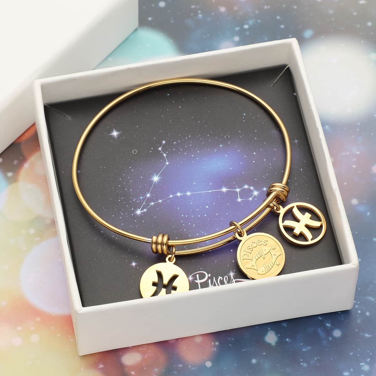 Pisces Zodiac Bangle Bracelet Gift Set in ION Plated Yellow Gold Stainless Steel (6-9 in) image number 0