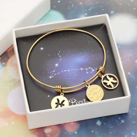 Pisces Zodiac Bangle Bracelet Gift Set in ION Plated Yellow Gold Stainless Steel (6-9 in) image number 0