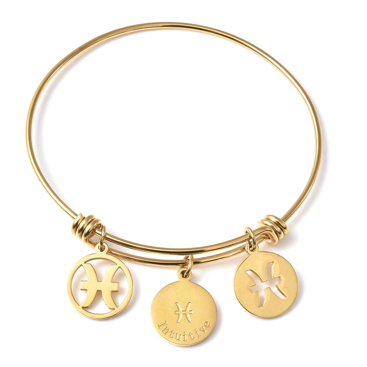 Pisces Zodiac Bangle Bracelet Gift Set in ION Plated Yellow Gold Stainless Steel (6-9 in) image number 1