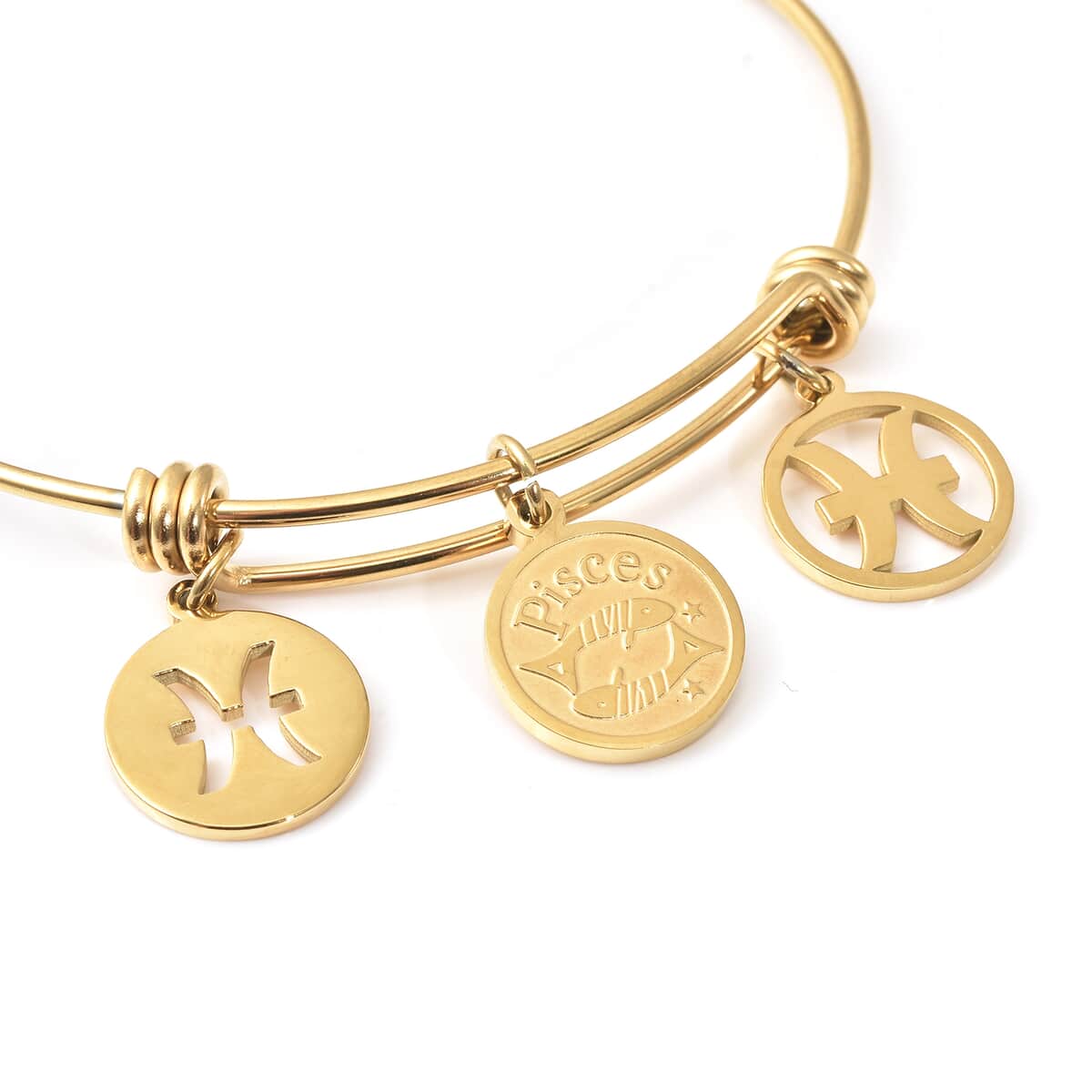 Pisces Zodiac Bangle Bracelet Gift Set in ION Plated Yellow Gold Stainless Steel (6-9 in) image number 5