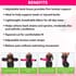 Letsfit Black Waist Trainer Lumber Support Belt with Measuring Tape - M image number 3