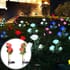 Set of 2 Solar Rose Garden Light -Pink image number 1